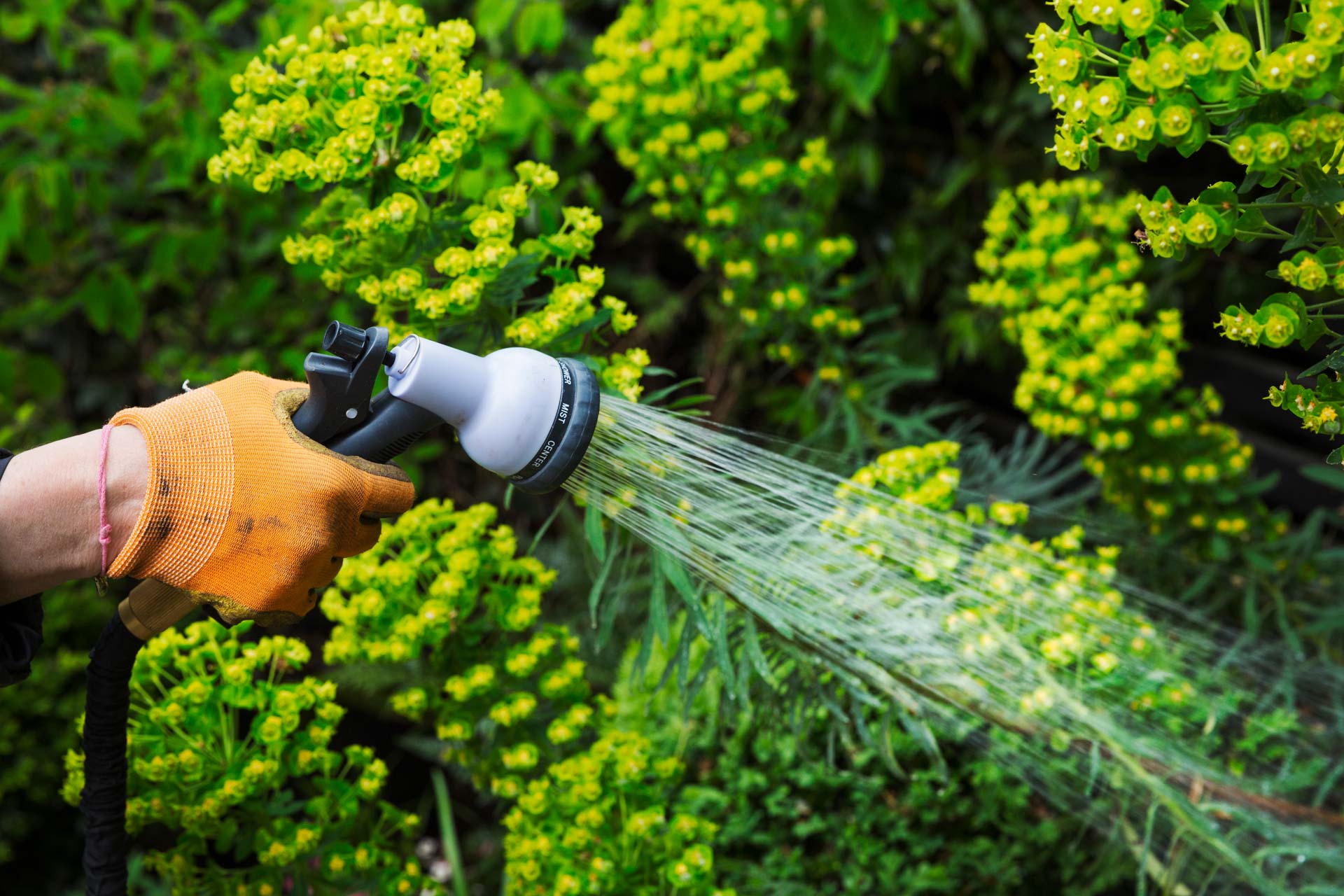 Garden Watering