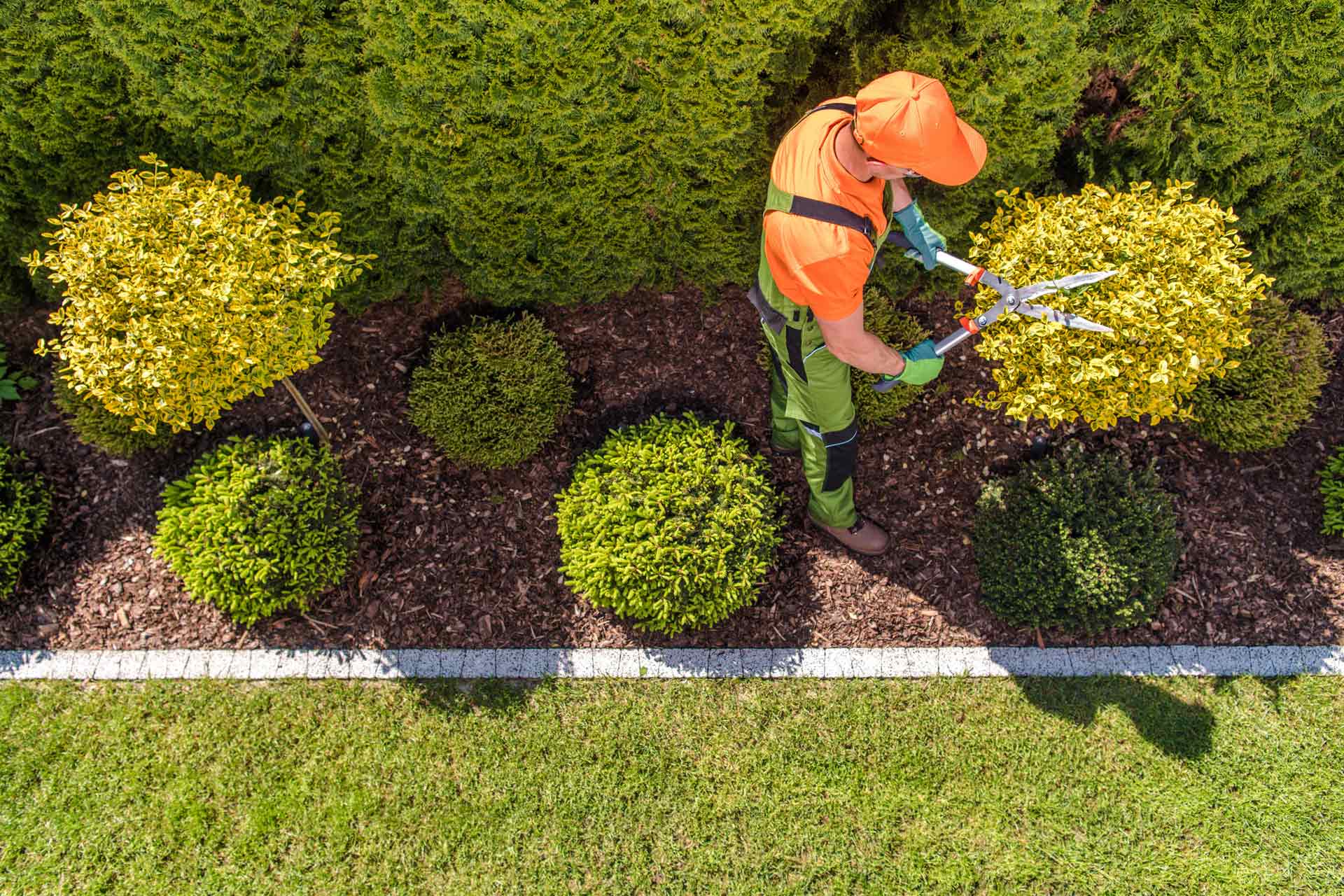 Lawn Cleaning