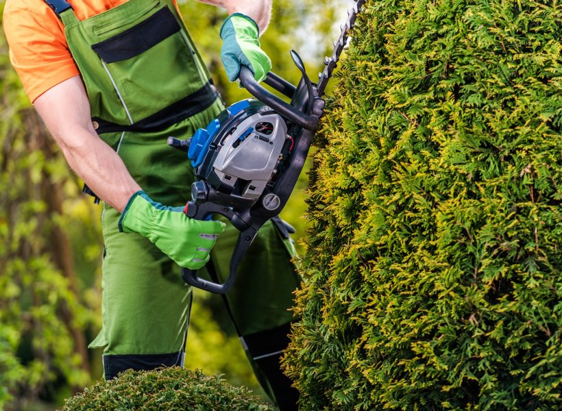 gardener-topiary-job.jpg